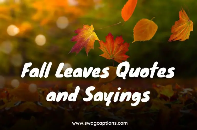 Fall Leaves Quotes and Sayings