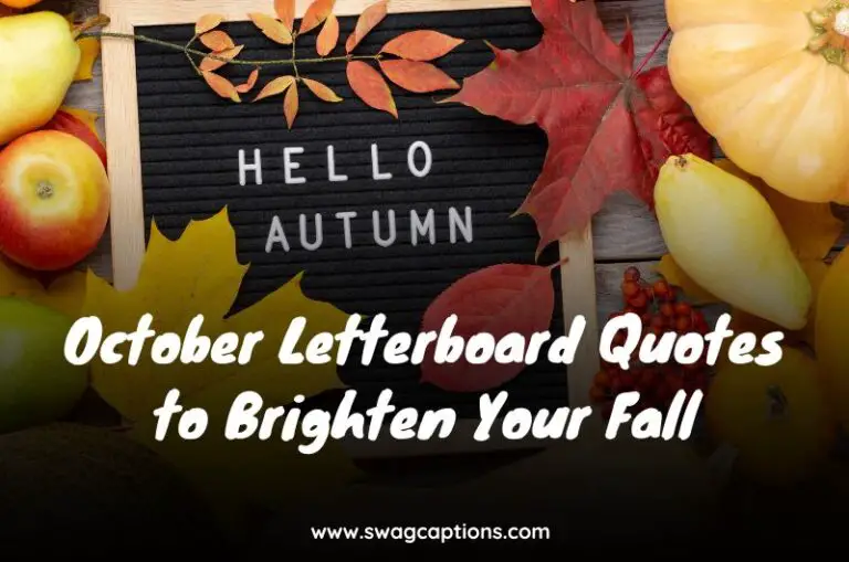 October Letterboard Quotes to Brighten Your Fall