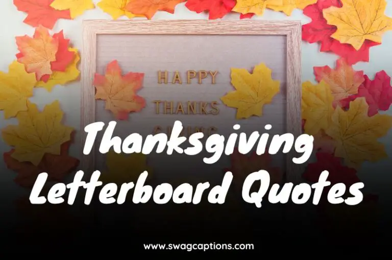 Thanksgiving Letterboard Quotes