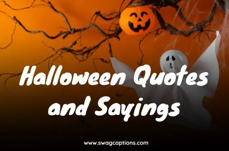 Halloween Quotes and Sayings