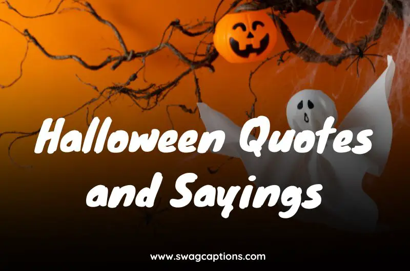Halloween Quotes and Sayings