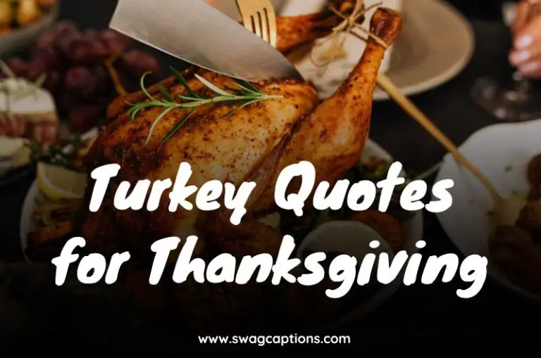 Turkey Quotes for Thanksgiving