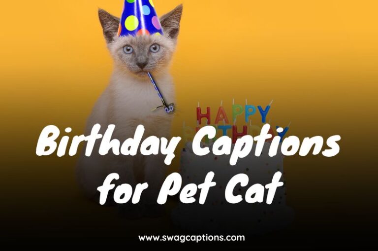 Birthday Captions for Pet Cat