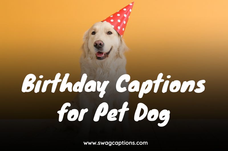 Birthday Captions for Pet Dog