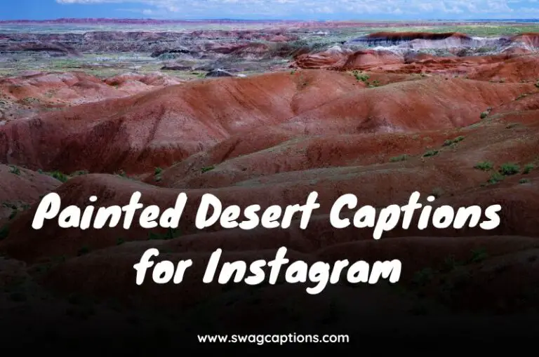 Painted Desert Captions for Instagram