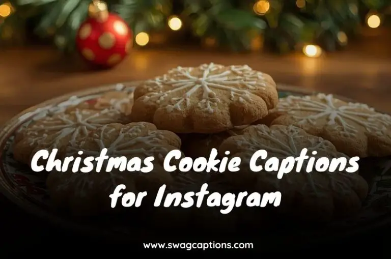 Christmas Cookie Captions for Instagram