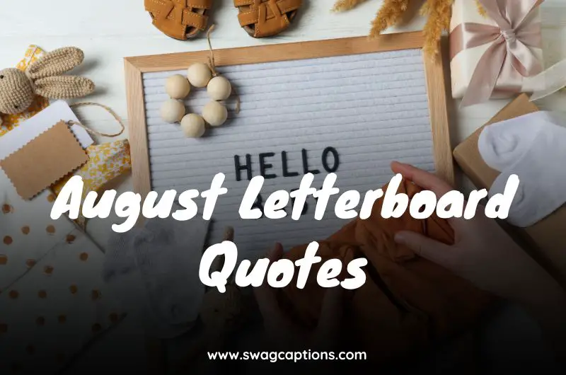 August Letterboard Quotes