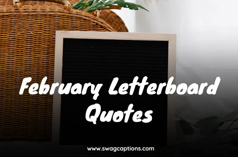 February Letterboard Quotes