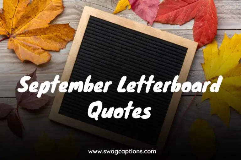 September Letterboard Quotes