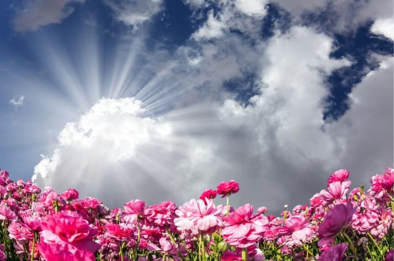 may blessings and prayers