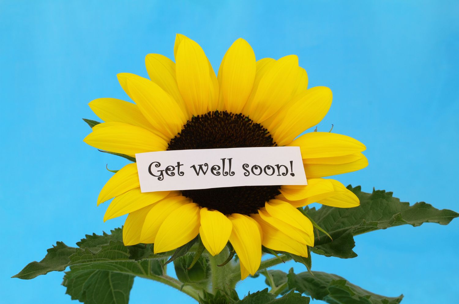Get well soon card messages