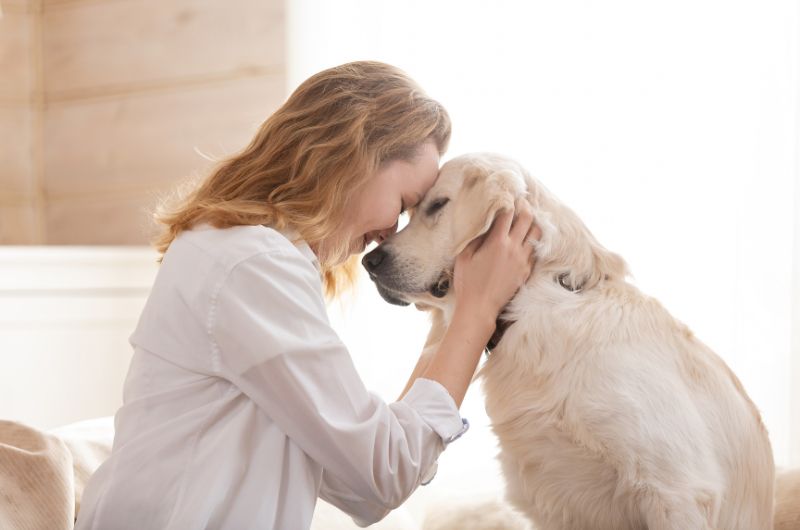 What to Write in a Sympathy Card for Loss of Pet