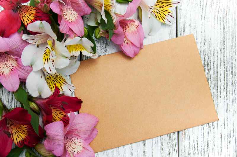 sympathy flowers card messages
