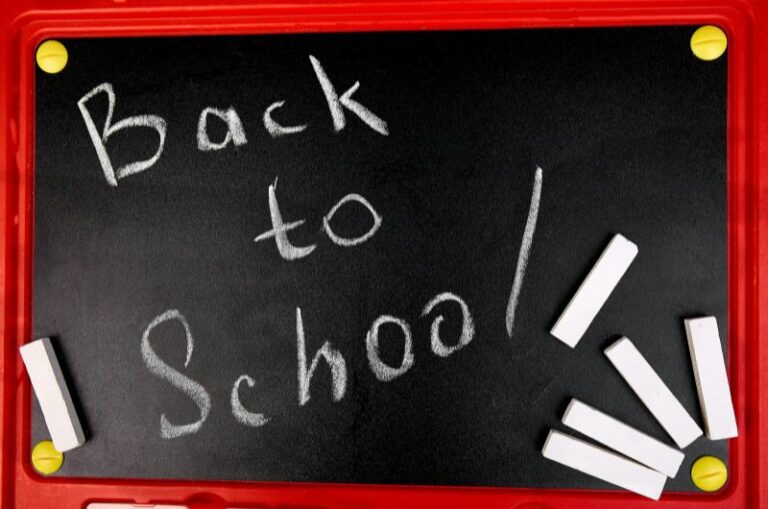 Back to School Letter board quotes
