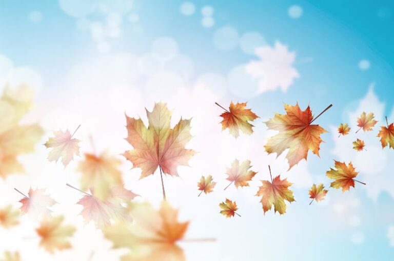 September Blessings