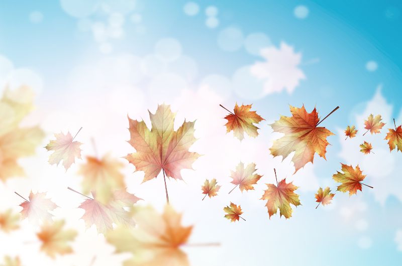 September Blessings