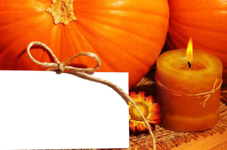 Pumpkin patch thank you card
