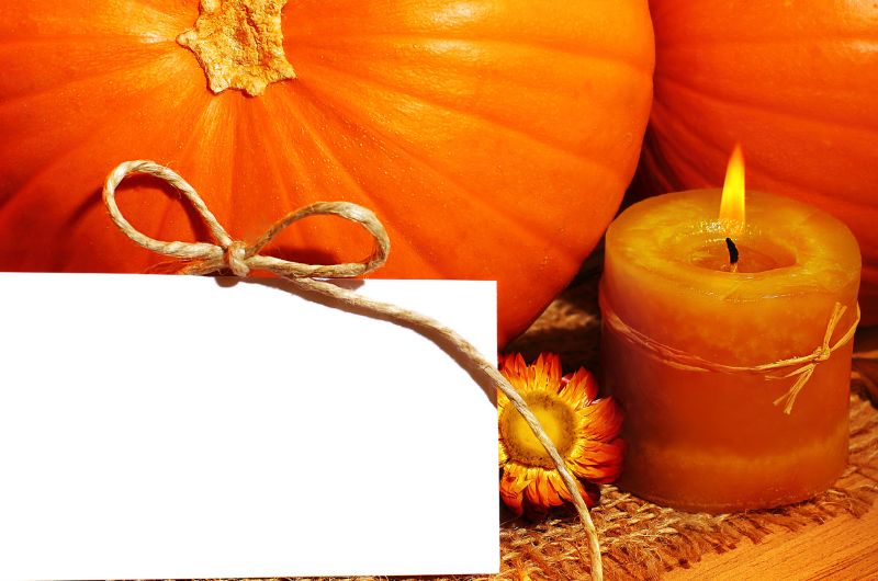 Pumpkin patch thank you card