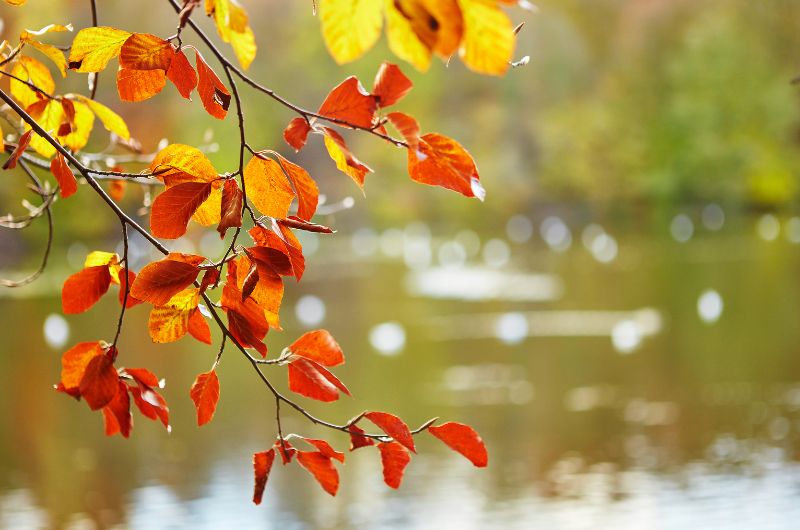September quotes